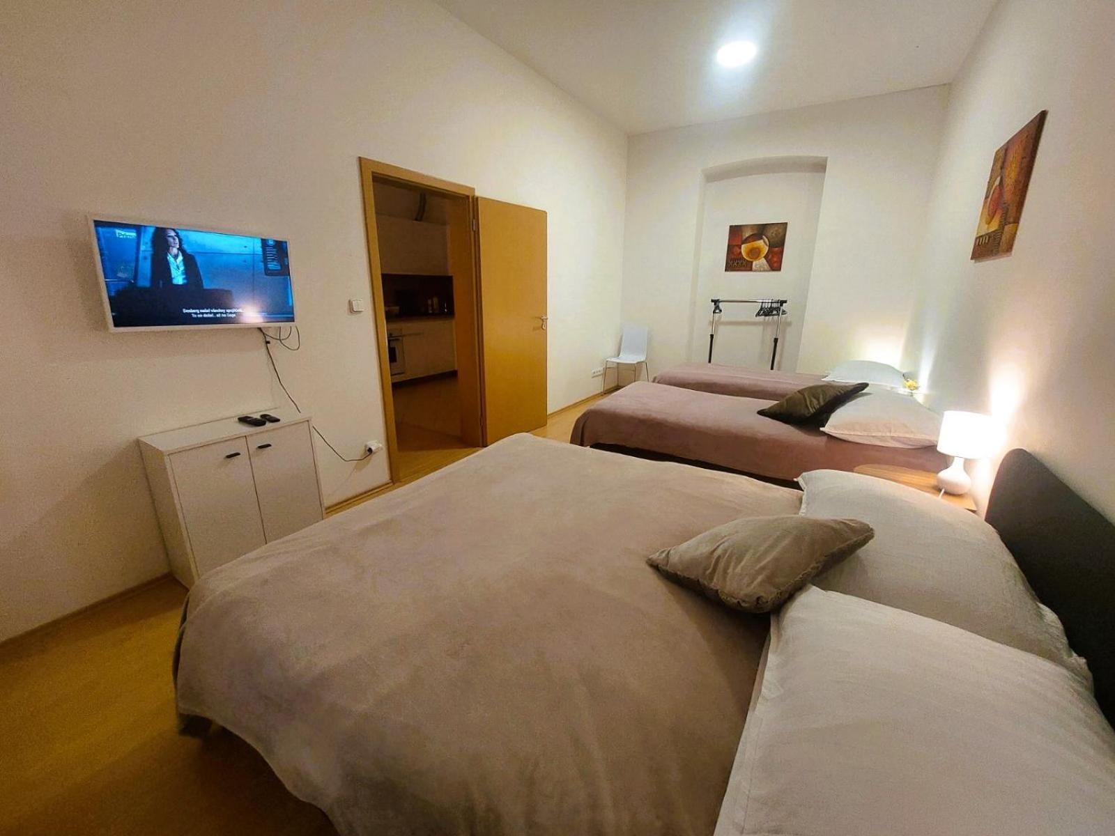 Prostorny Byt V Centru 3 Kk 80 M2 Hradec Králové 외부 사진